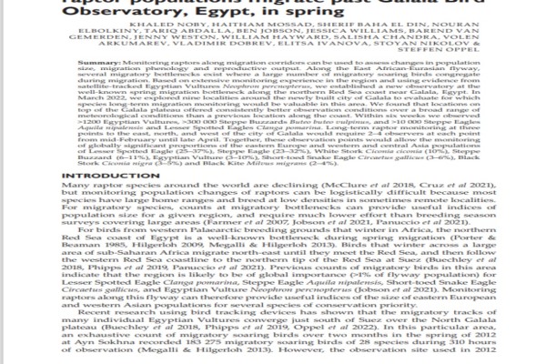 Globally important proportions of six raptor populations migrate past Galala Bird  Observatory, Egypt, in spring Paper